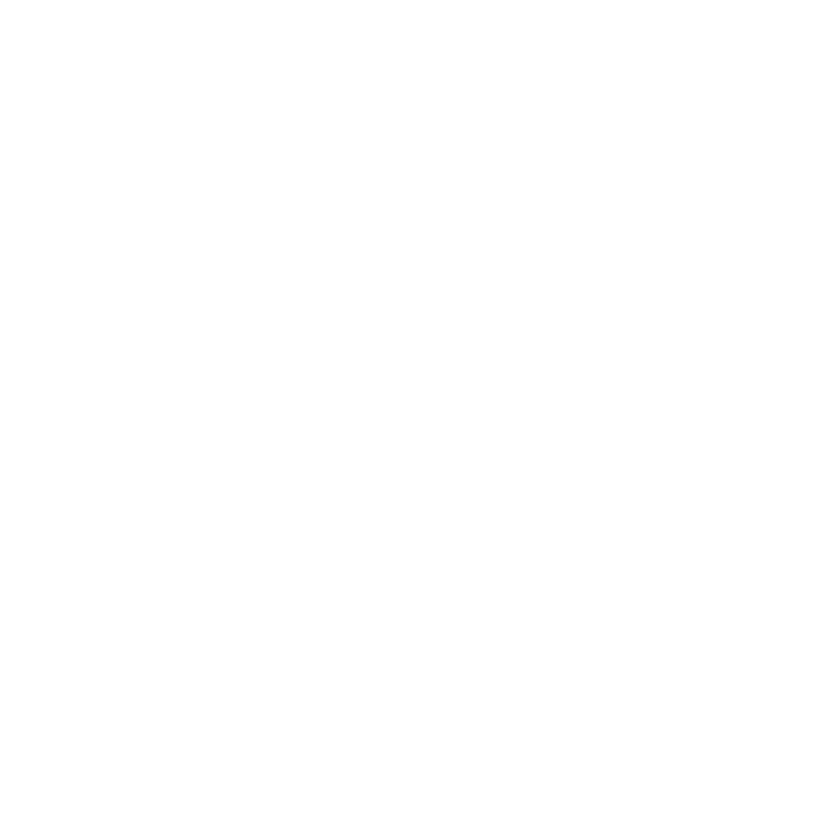 10 años SISEP
